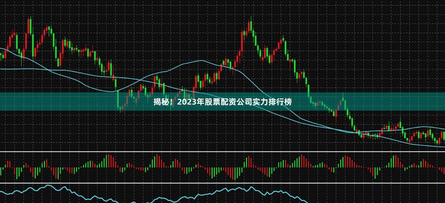 揭秘！2023年股票配资公司实力排行榜